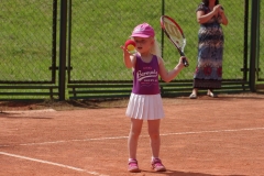 44_3b2d4592e434e2896340fa4f2e573b31